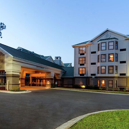 Hampton Inn & Suites Tampa-North Exteriér fotografie
