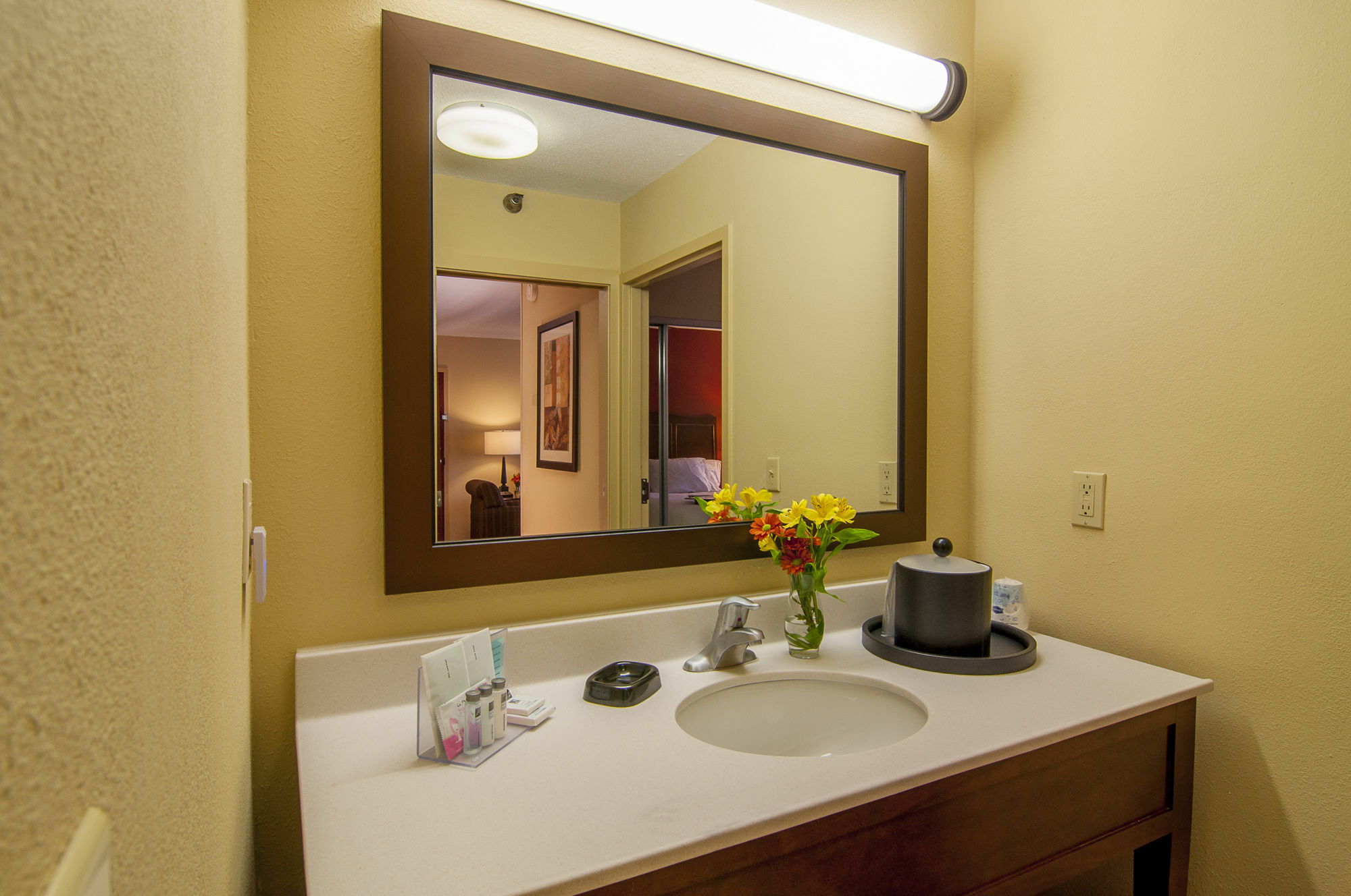 Hampton Inn & Suites Tampa-North Exteriér fotografie