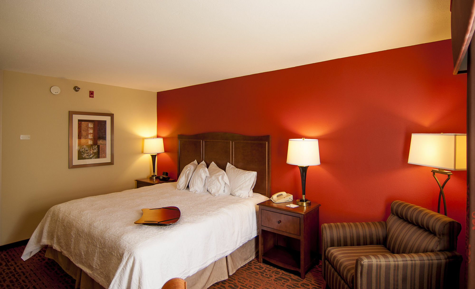 Hampton Inn & Suites Tampa-North Exteriér fotografie